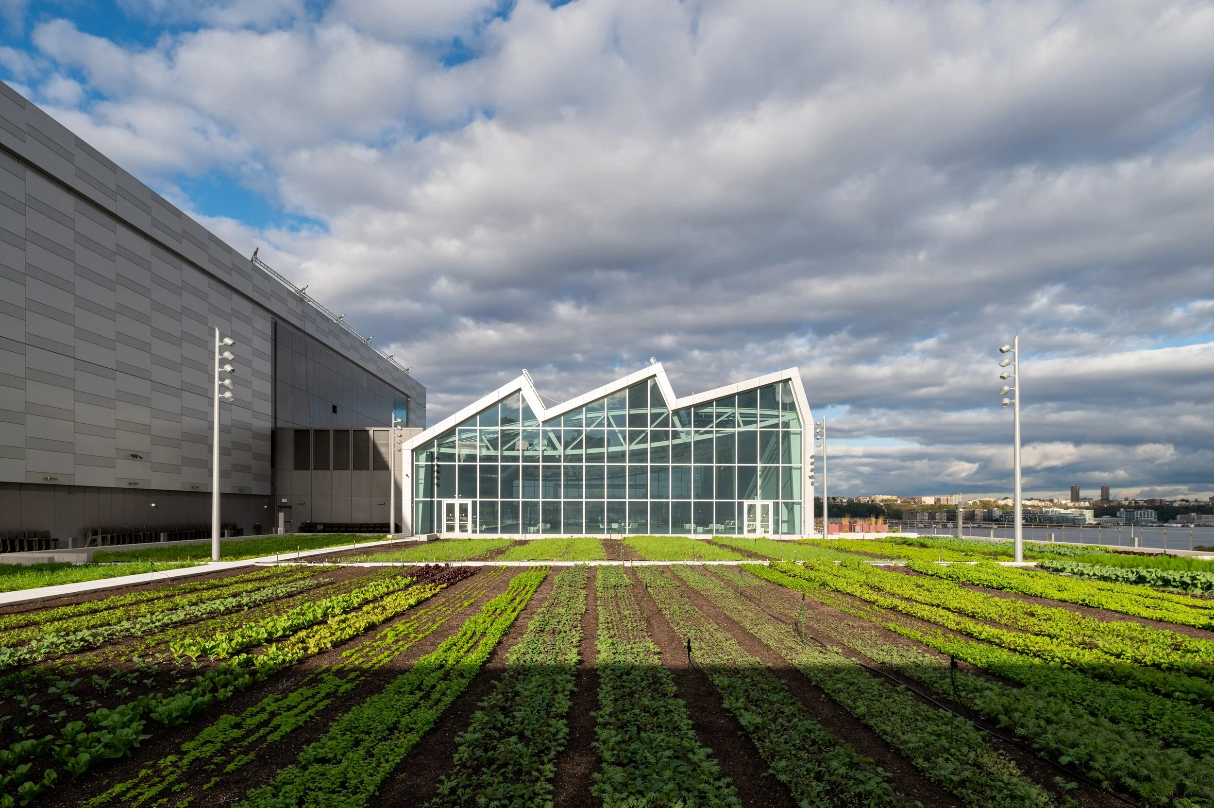 The Farm at the Javits Center - Brooklyn Grange